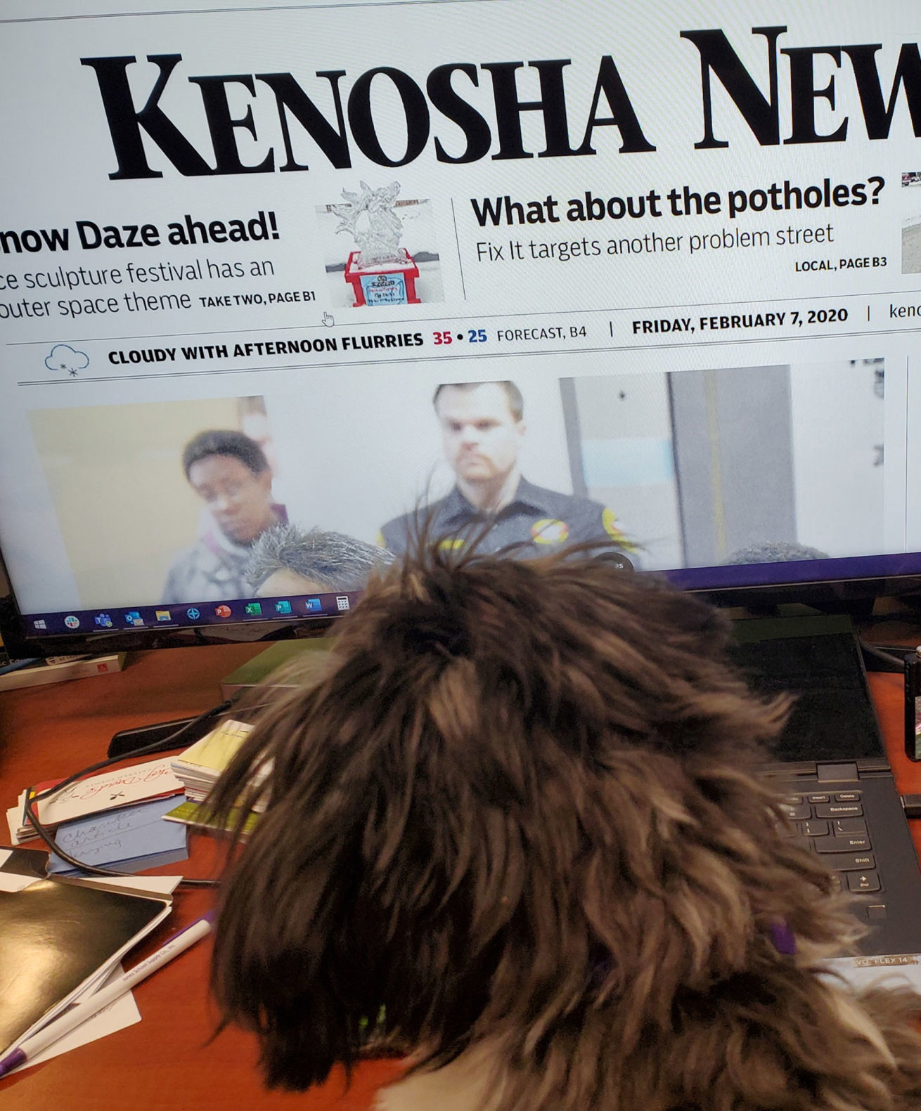 dog reads paper